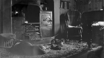 A dog, a cat and a kitten are curled up on a rag rug in front of a range, in a room that contains a table, a bed and, in the corner to the right of the stove, a wooden rocking chair.  