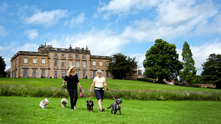 dog walkers in front of canon hall